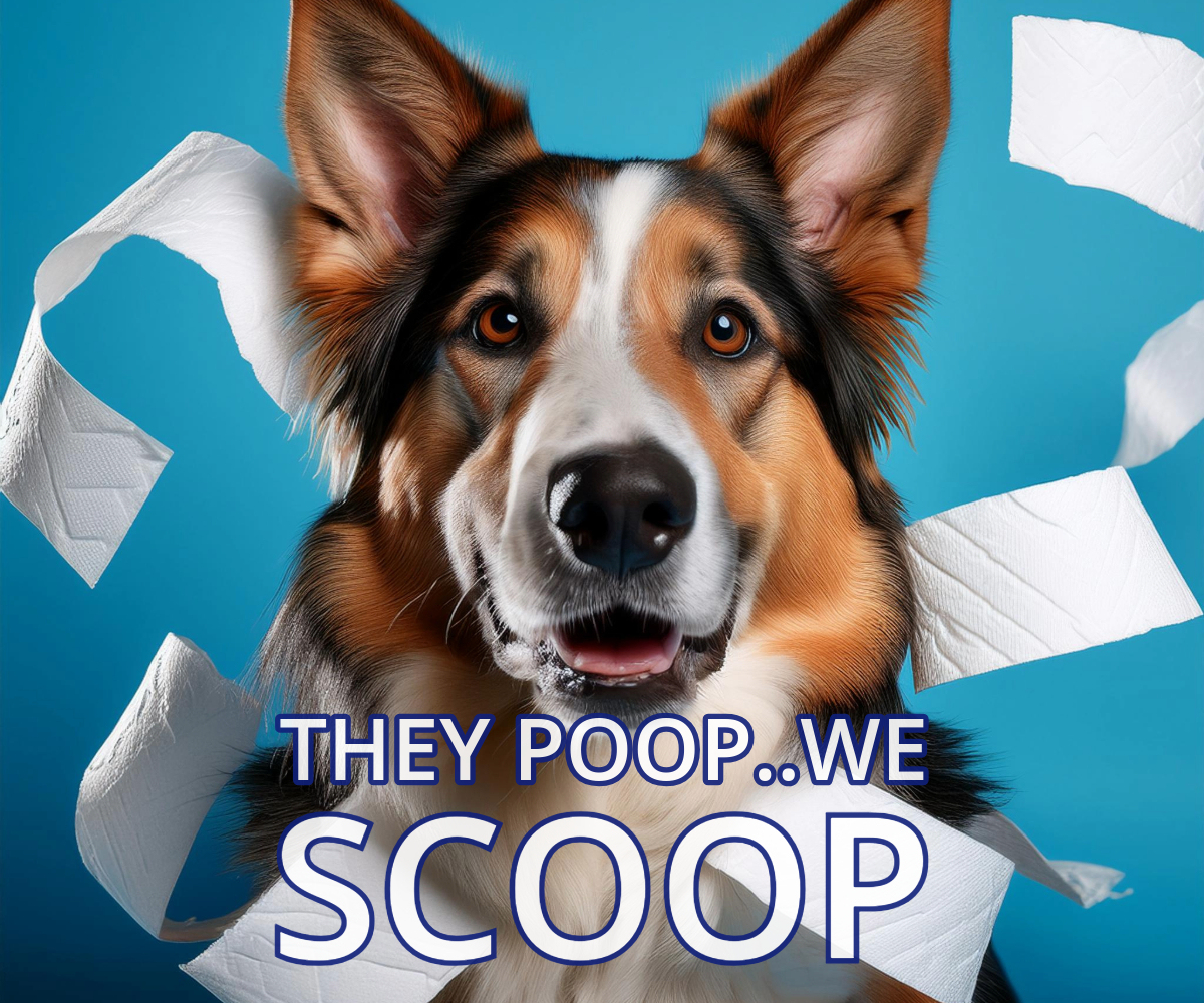 Weekly dog waste pickup service in Kelowna by Pooper Doo